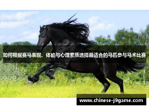 如何根据赛马表现、体能与心理素质选择最适合的马匹参与马术比赛