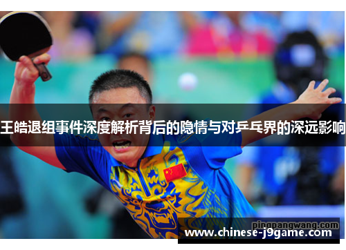 王皓退组事件深度解析背后的隐情与对乒乓界的深远影响