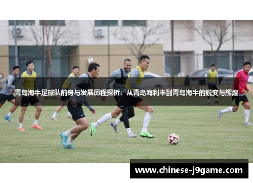 青岛海牛足球队前身与发展历程探析：从青岛海利丰到青岛海牛的蜕变与辉煌